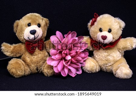 2 seated teddy bears and a pink flower placed in between on a black background
