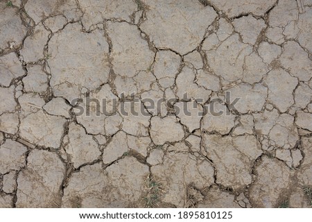 The photo of dry and cracked mud,. It can use for background.