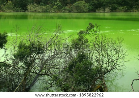 Beautiful natural scenery lake "Telaga Warna" tourism object. Dieng, Indonesia