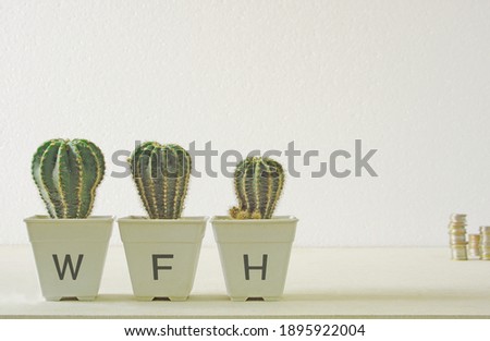WFH on the white cactus pot with a blurred some coin on white background.Make money work from home concept.