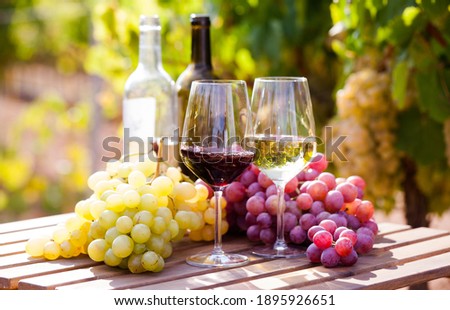 still life with glasses of red and white wine and grapes in field Royalty-Free Stock Photo #1895926651