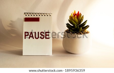 Cactus on a white background with the inscription Pause on a notebook