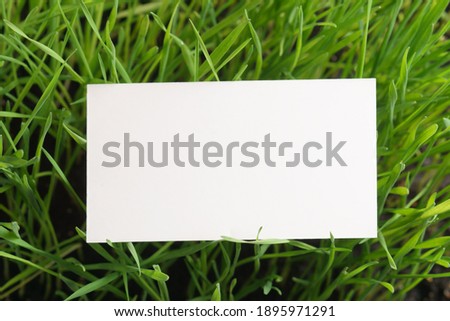 White card or white paper sheet lies on the grass or wheat. Mockup Background. White business card.