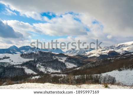 landscape with Apuseni mountains in winter