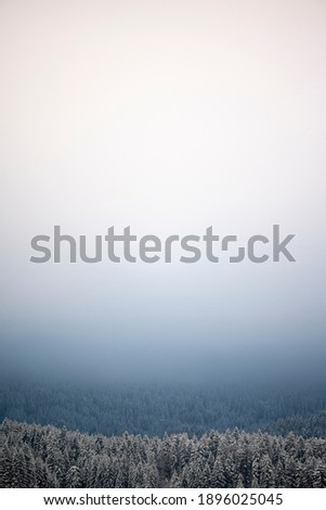 vertical background with a gentle gradient from white to blue in snowy winter forest
