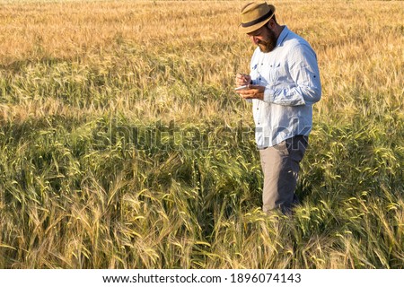 a farmer with a hat keeps statistics on the growth of cereals in the field. accounting and analysis of yield