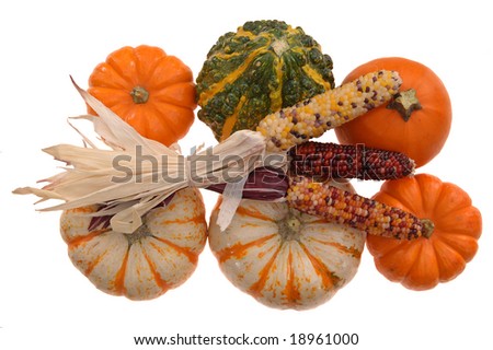 mini pumpkin, squash, and Indiana corn
