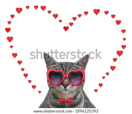 A gray cat wears red heart shaped sunglasses. White background. Isolated.