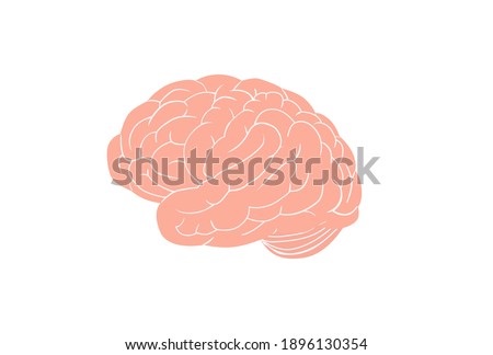 Anatomical brain. Large pink gyrus encircle entire circumference complex structure of intelligence cerebral organ that controls vector body. Royalty-Free Stock Photo #1896130354