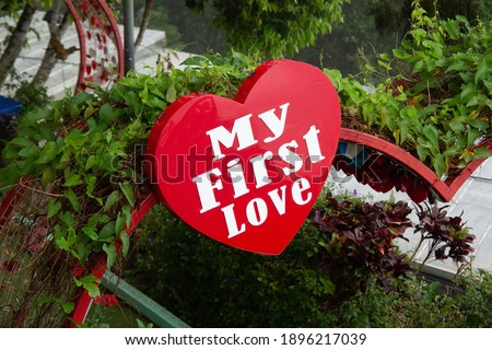 My First Love word in a love shape red object view in close up