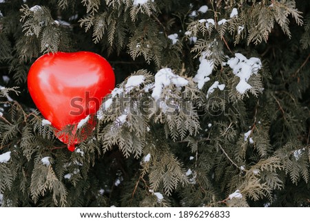 heart shaped red balloon in the tree with snow