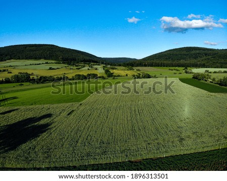 Aerial photographs of a grain field