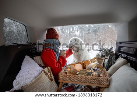Woman with her white dog have a picnic in car trunk near a pine forest, traveling by car during winter holidays. High quality photo