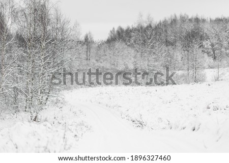 winter road and snow with landscape of trees with frost Royalty-Free Stock Photo #1896327460