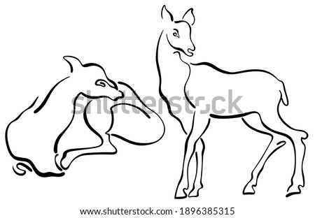 Doe and deer. Stylized ink drawing of female wooden animals. Wildlife european or american nature. Black and white sketch, isolated, for custom design and print. Raster stock illustration.