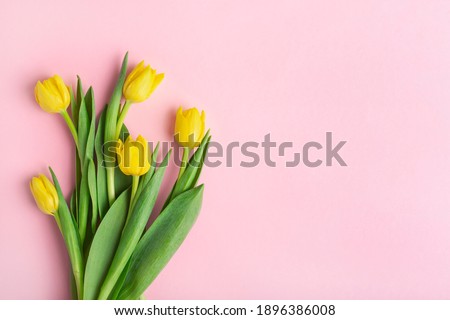 yellow tulips on a pink background, top view, spring bouquet Royalty-Free Stock Photo #1896386008