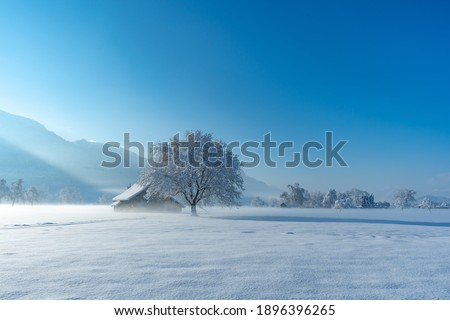 Hay barn or stable in the winter landscape with a tree in the morning fog. the light of the sunrise envelops the winter scene in a mystical glow. freshly snow-covered field in the valley of Rhein Royalty-Free Stock Photo #1896396265