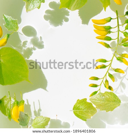 Spring time.Yellow flower and green leaf in water. Sun and shadows. 