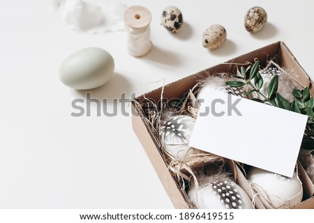 Easter, spring still life. Greeting card, invitation mockup on paper box with quail and hen eggs, feather and green branch isolated on white table. Feminine styled photo, top view. Blurred background.