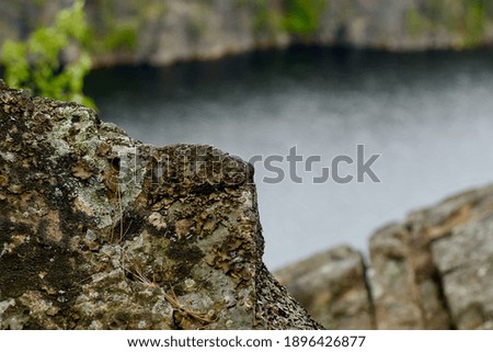 Rock closeup overlooking a lake