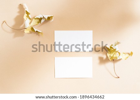 Flat Lay mockup business cards with dry leaves and contrasting shadows on color background