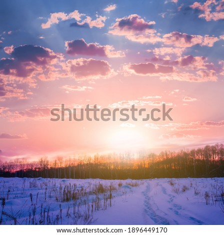 winter forest glade in a snow at the dramatic pink sunset, seasonal natural background