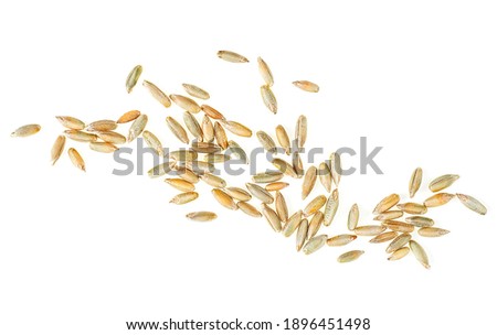 Raw rye grains isolated on a white background, top view. Healthy grains and cereals. Royalty-Free Stock Photo #1896451498