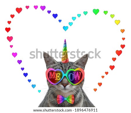 A gray cat unicorn wears color heart shaped sunglasses with the inscription "meow". White background. Isolated.