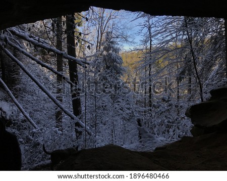 Picture of snowy forest at Red River Gorge from inside a cave