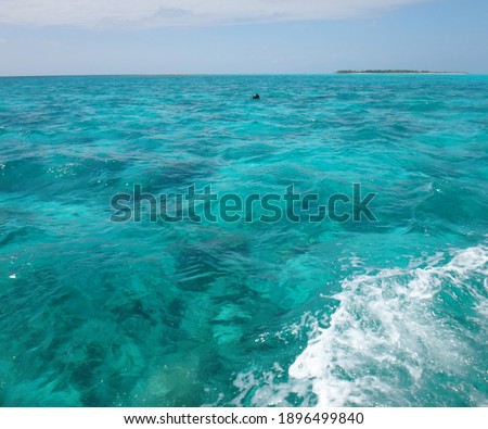 Maldives. Blue water in the ocean