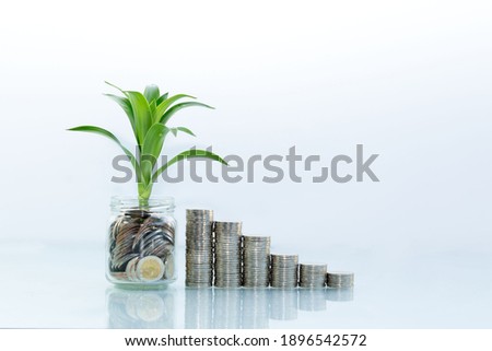 Growing Money - Plant On Coins - Finance And Investment,saving Concept. Royalty-Free Stock Photo #1896542572