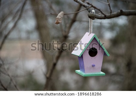 Hand-painted birdhouse in pastel pinks, blues, and greens hanging by a rope in a tree in the wooded area. Copy space on left side of the picture. DIY rustic craft in a natural scene.