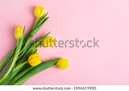 yellow tulips on a pink background, top view, spring bouquet Royalty-Free Stock Photo #1896619900