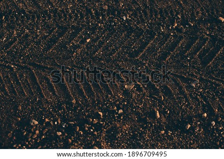 texture of a sandy beach close-up, abstract background on the ocean	