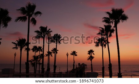 Palms silhouette on twilight sky, California USA, Oceanside pier. Dusk gloaming nightfall atmosphere. Tropical pacific ocean beach, sunset afterglow aesthetic. Dark black palm tree, Los Angeles vibes. Royalty-Free Stock Photo #1896741073
