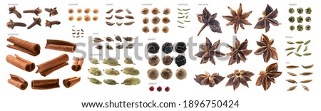 Large collection of seasonings and spices on a white background Royalty-Free Stock Photo #1896750424