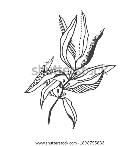 Hand drawn doodle silhouettes of flowers. Fantasy decorative leaf with various patterns. Hand drawn doodle illustration