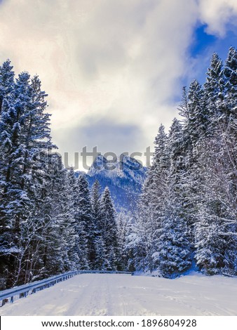 Beautiful Winter on Ceahlău Mountain