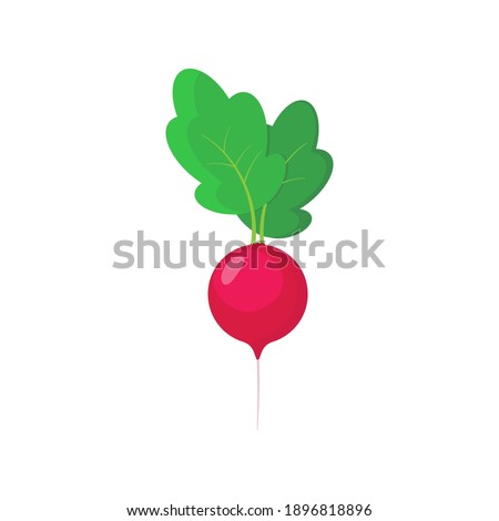 Radish icon in flat style. Isolated object, logo. Vegetable from the farm. Organic food. Vector illustration. Royalty-Free Stock Photo #1896818896