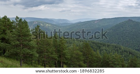 Panorama of Siberian taiga in summer near Krasnoyarsk, Russia Royalty-Free Stock Photo #1896832285