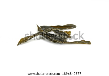 Dried kombu seaweed Japanese dry kelp isolated on white background