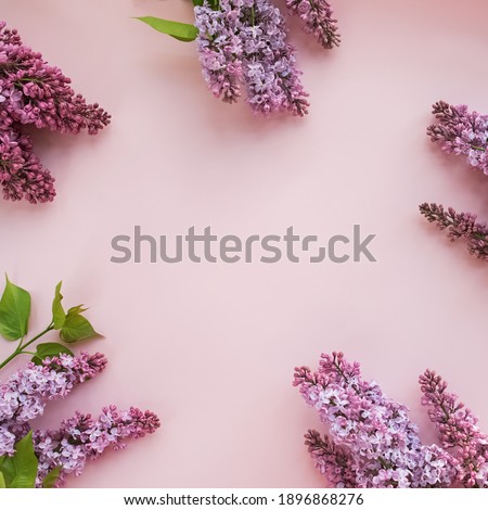 Purple lilac spring flowers on pastel background