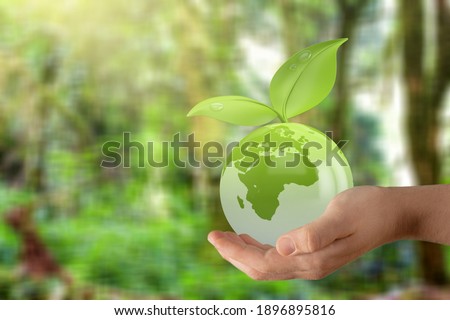 A man with a glass globe Concept day earth Save the world save environment.