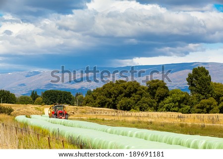harvester packs grass and winds in the film long bales of hay to feed the animals in the winter time. mountains in the background in New Zealand.