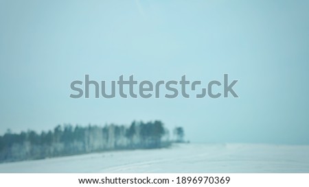 Blur picture background of pine tree on the hill at Russia,  Europe. 