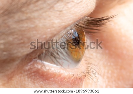 Healthy human eye, normal cornea macro photo. Man's eyelashes, look. For ophthalmological clinic, farsightedness, myopia. Royalty-Free Stock Photo #1896993061