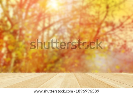 Empty top wooden table on clorful tree in auturmn