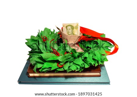 Isolated with background twenty yuan chinese renminbi banknote in money bag above laurel wreath and vintage books. Finance and study concept 