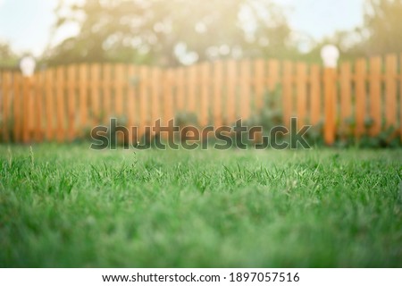 Background green grass in the foreground wooden fence Royalty-Free Stock Photo #1897057516