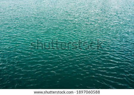 Sea surface, Black Sea, Bulgaria